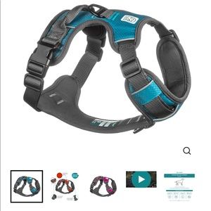 Embark dog harness and leash